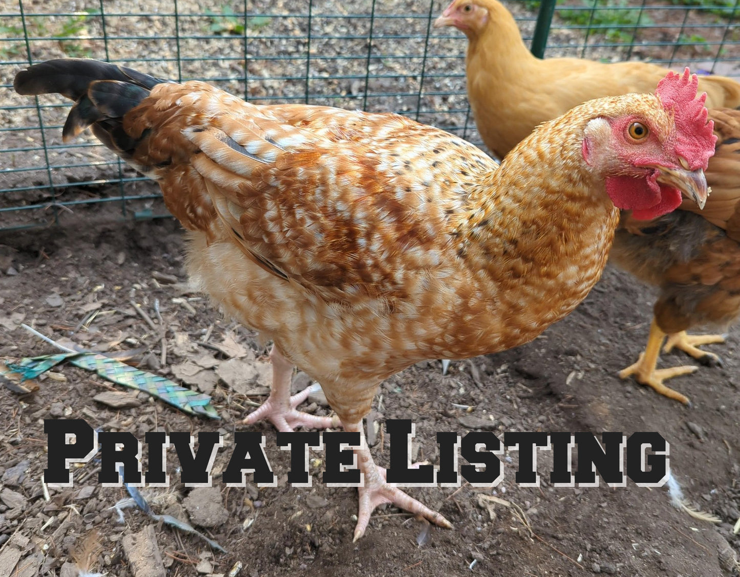 Private Listing for Emily